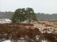 tagme // 1711x1277 // 639KB