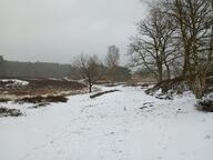 tagme // 1715x1288 // 462KB