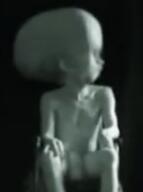 akai // 503x674 // 211KB