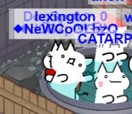 anon catarp dogspot gif gikopoipoi hilltop lexi video // 296x254 // 95KB