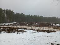 tagme // 1718x1286 // 421KB