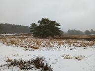 tagme // 1712x1284 // 373KB