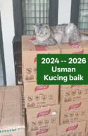cat indonesia photo rip // 719x1107 // 1.1MB