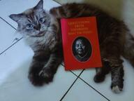 cat communism photo piper // 1440x1080 // 490KB