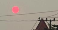 indonesia photo red sun // 1440x754 // 141KB