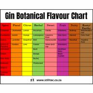 alcohol brewing gin infographic // 1080x1080 // 116KB