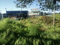 that_bobba_feeling // 4160x3120 // 1.9MB