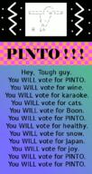 2022 election pinto // 400x750 // 75KB